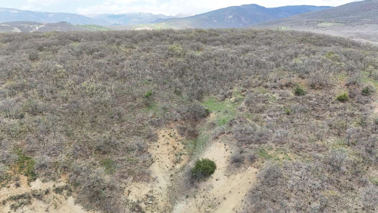 Gülistan Doku soruşturmasında 40 kilometrelik alanda mezar aranıyor 7